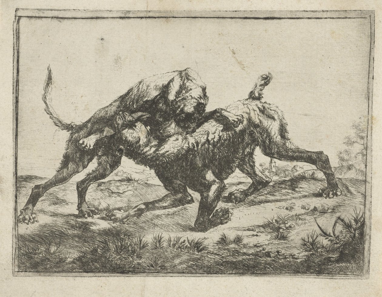 dövüş köpekleri by Pauwels van Hillegaert