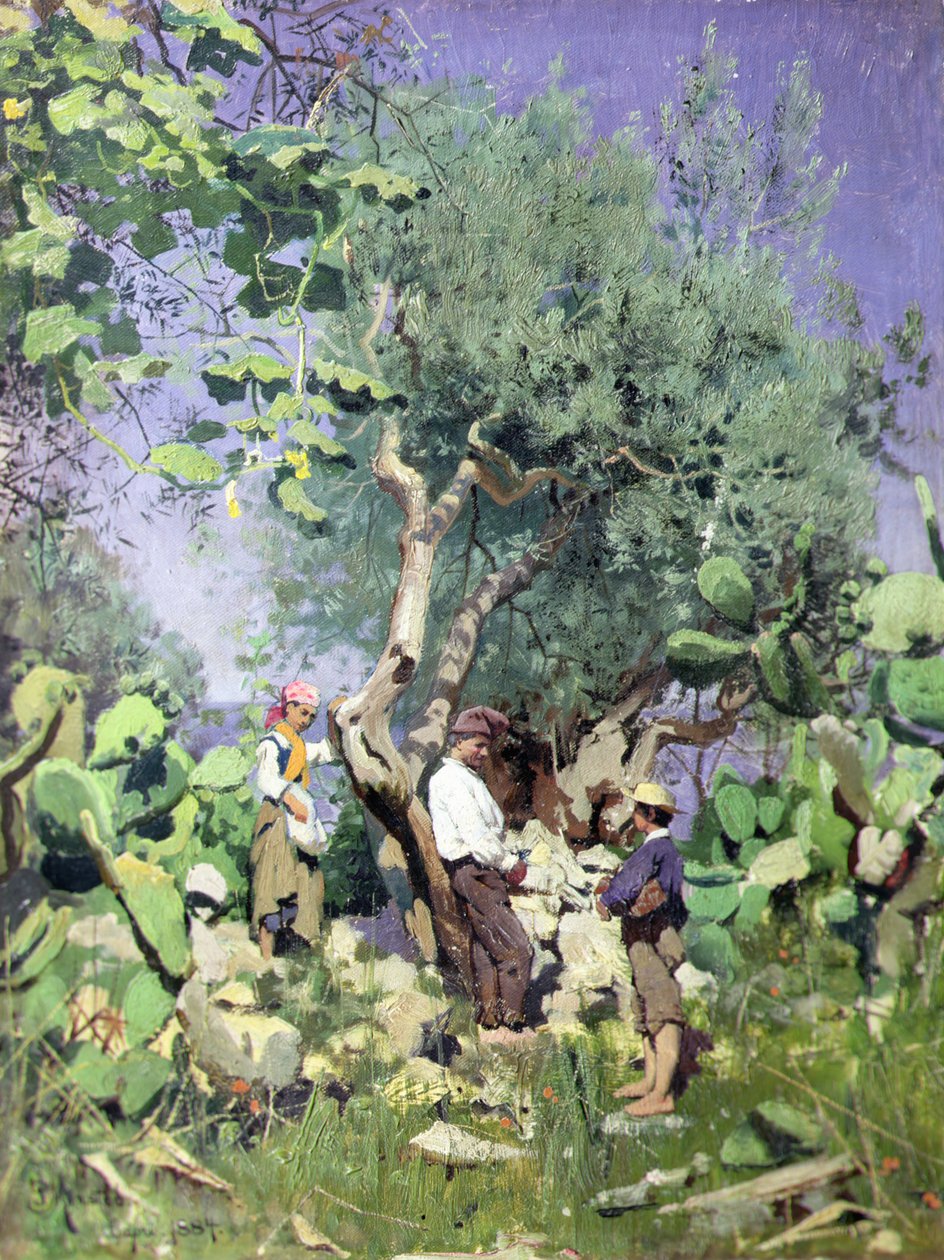Zeytin Hasadı by Peder Monsted