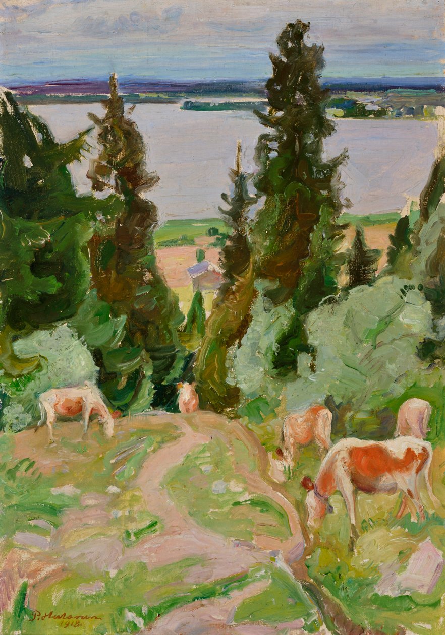Väisälänmäki