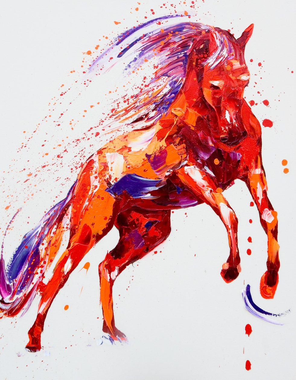 kader, 2015 by Penny Warden