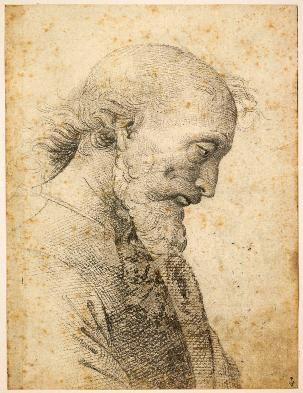 Bir erkek büstü, 1500-1503. by Perugino
