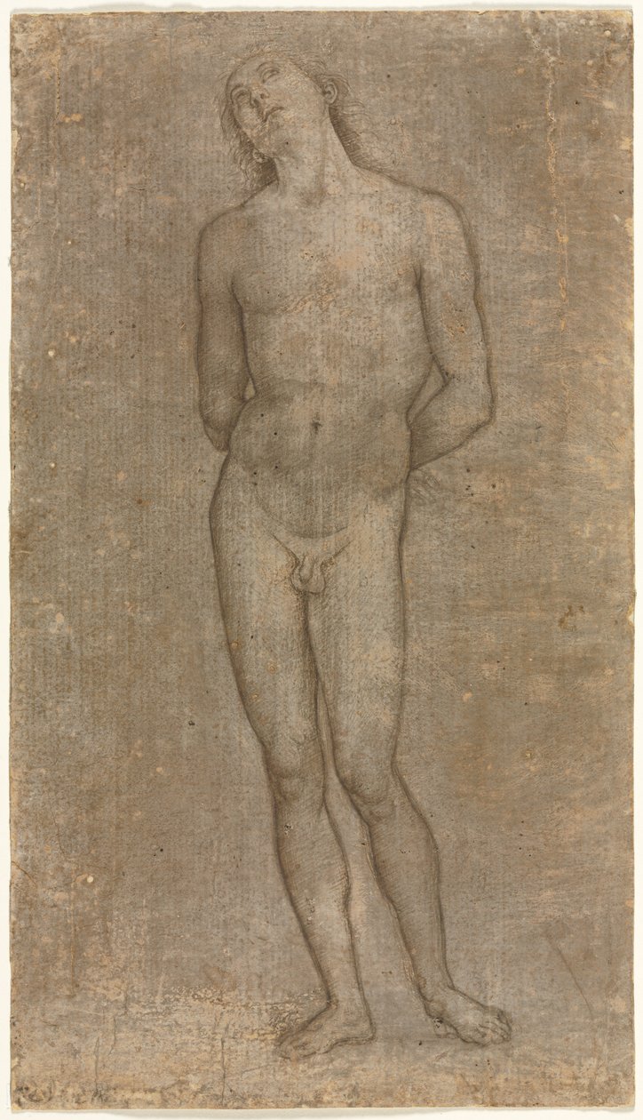 Aziz Sebastian by Perugino