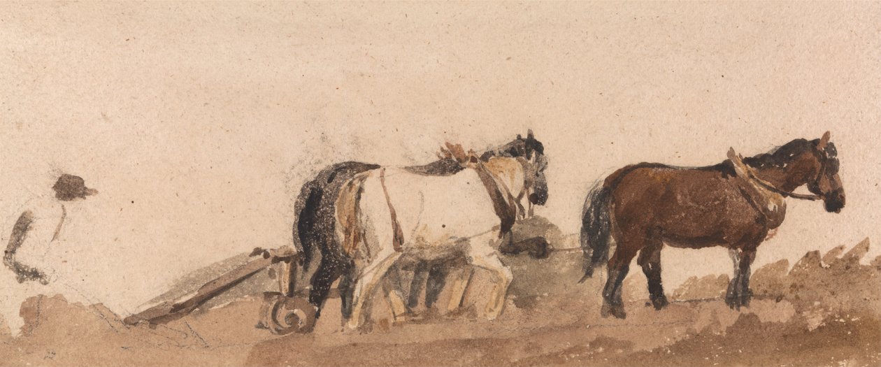 pulluk atları by Peter de Wint