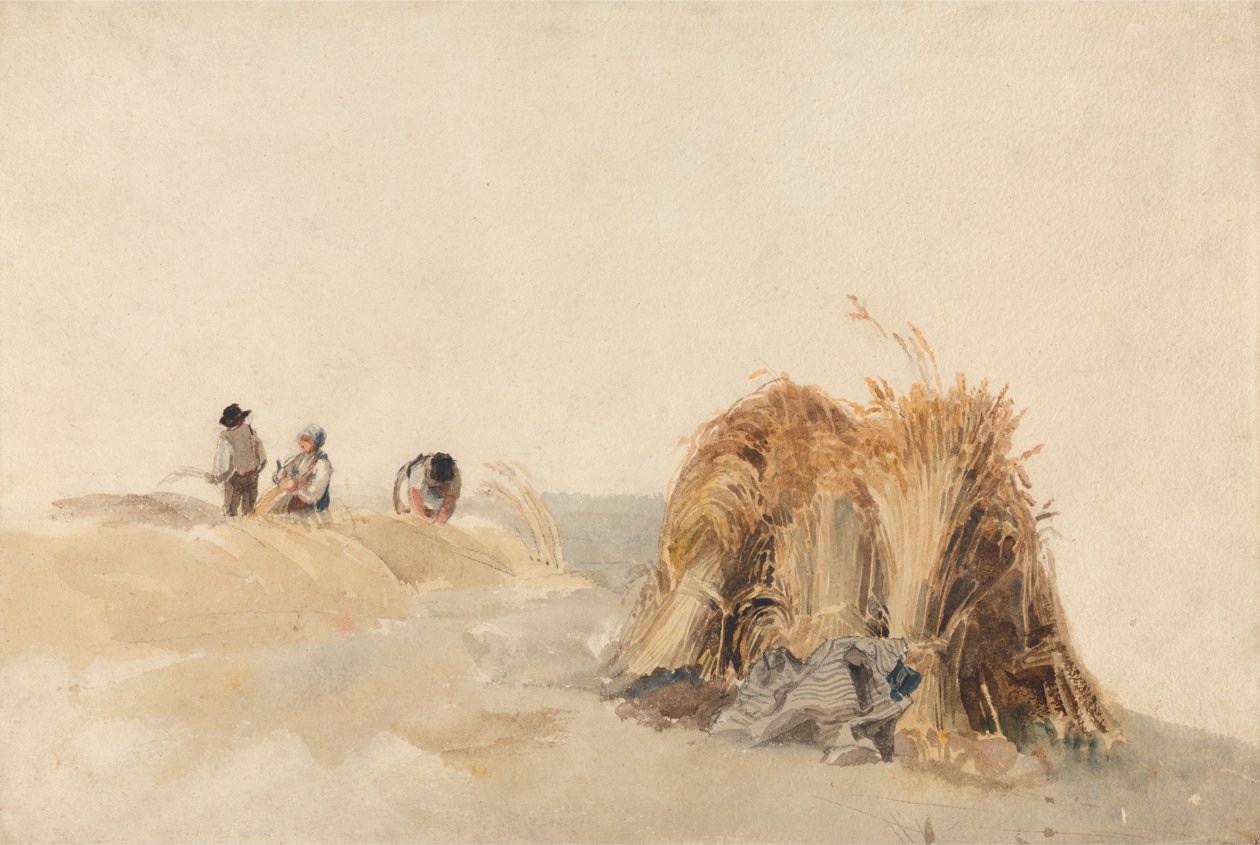 mısır tarlası by Peter de Wint