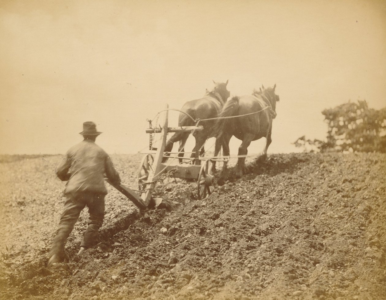Sert Çekme by Peter Henry Emerson