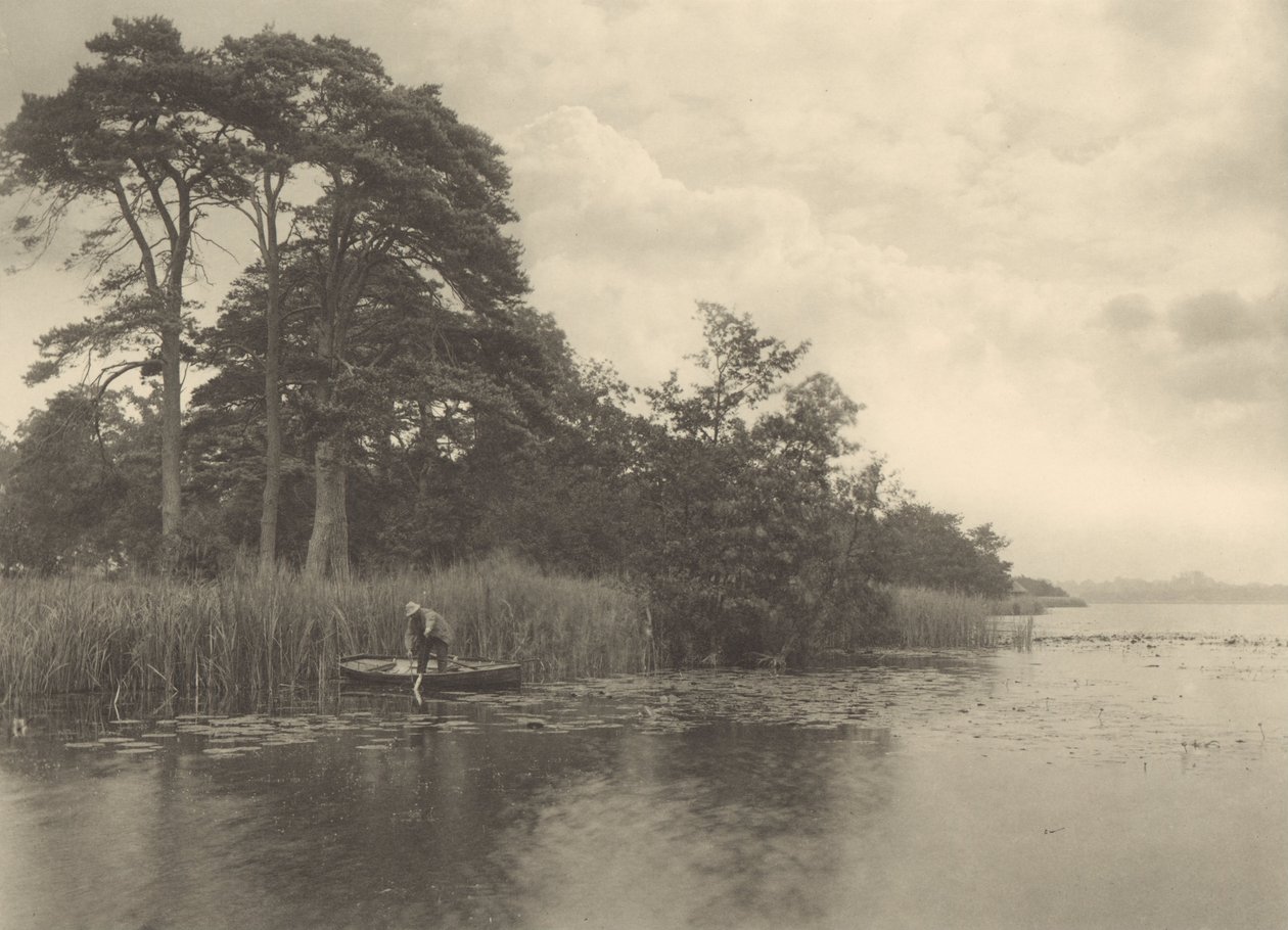 Pike