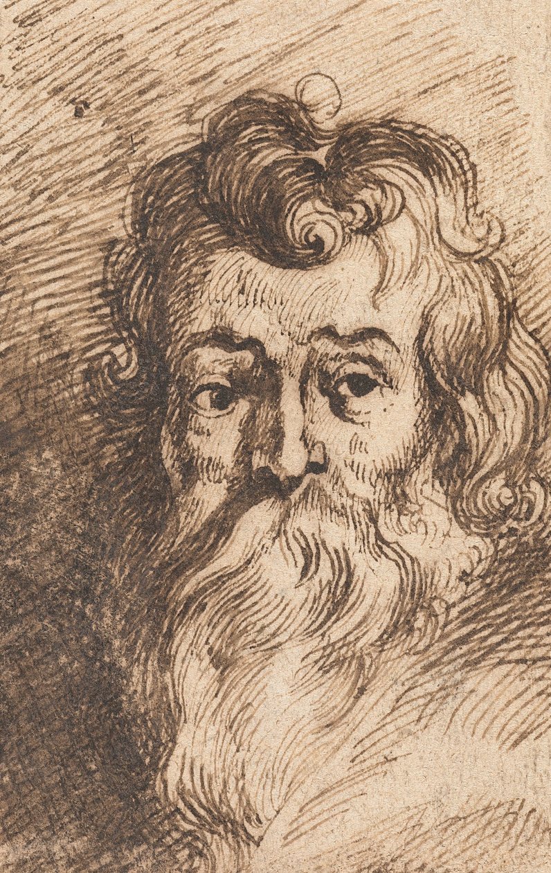 Sakallı bir adamın başı by Peter Paul Rubens