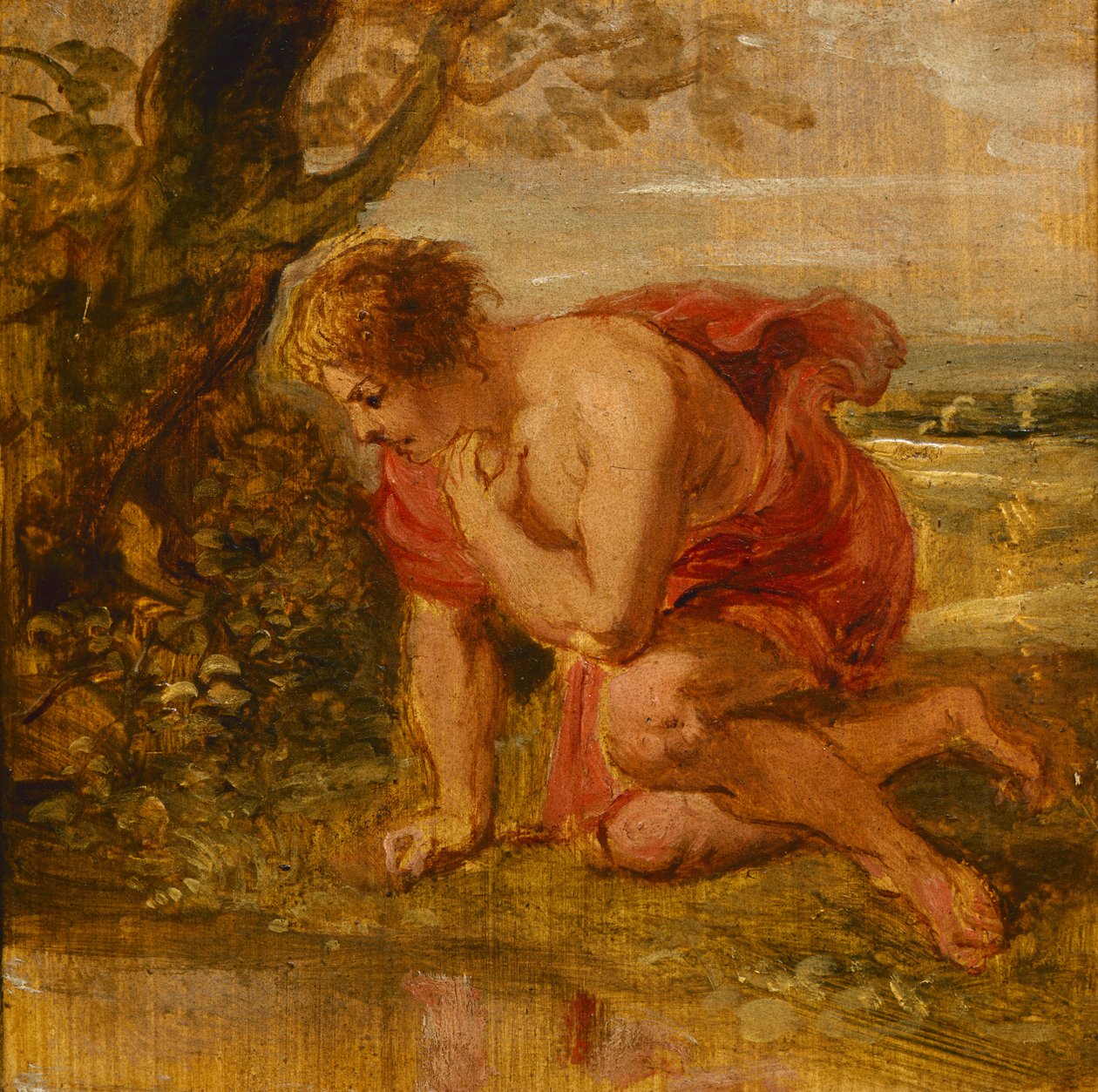 Nergis by Peter Paul Rubens