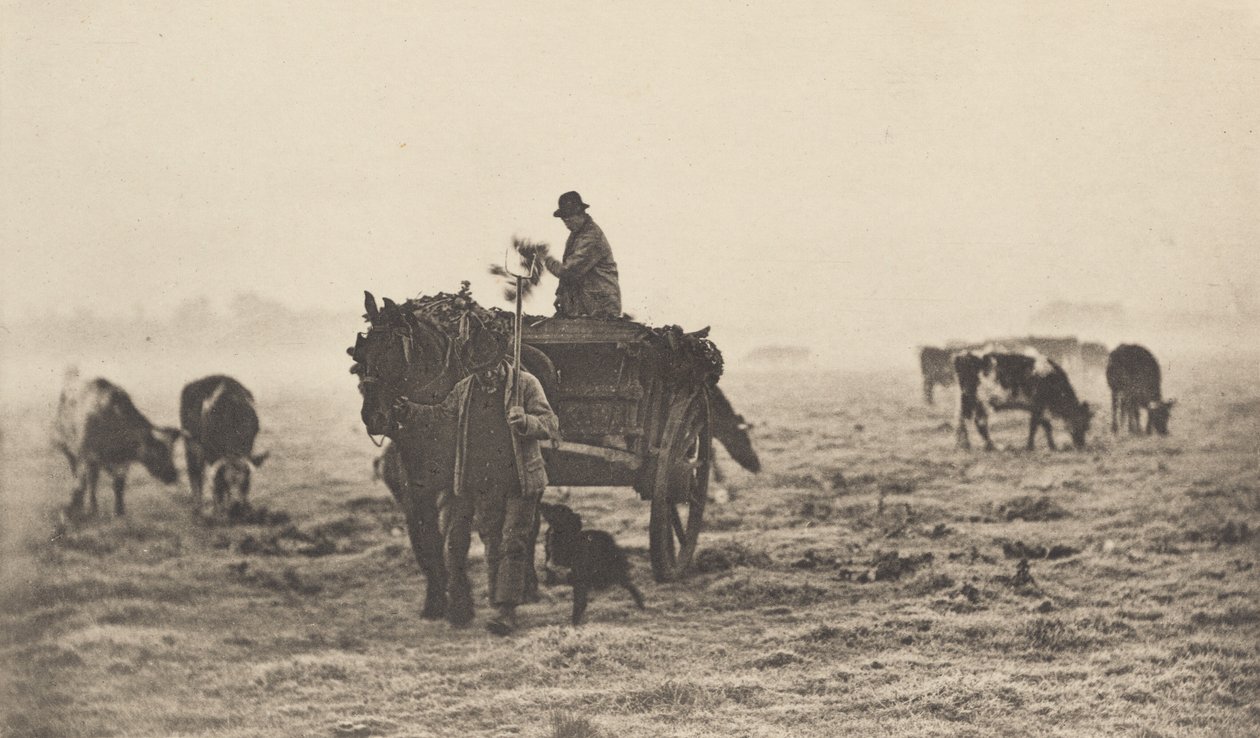 Soğuk Bir Sabah by Peter Henry Emerson