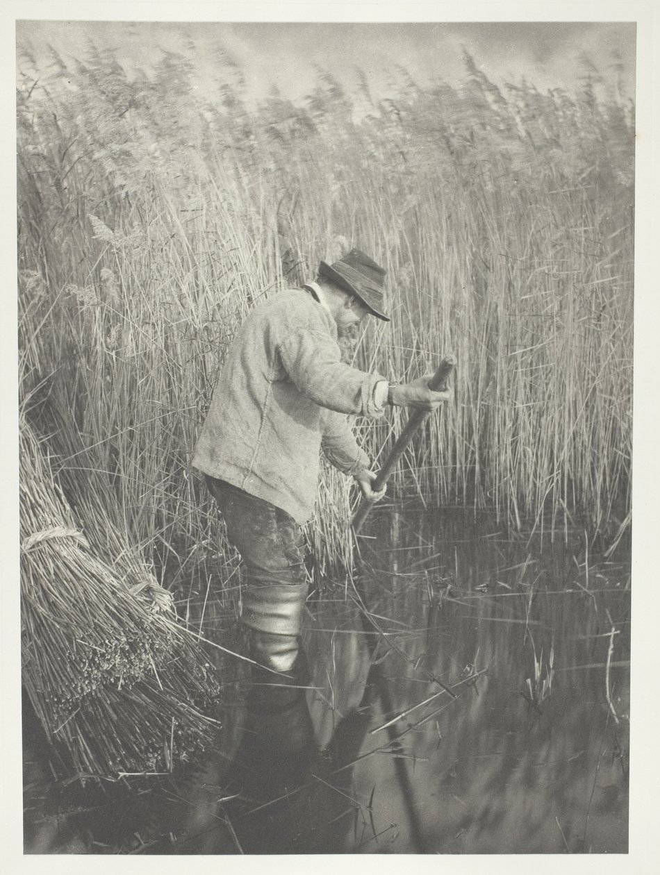  by Peter Henry Emerson