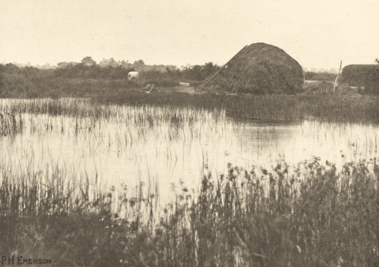  by Peter Henry Emerson