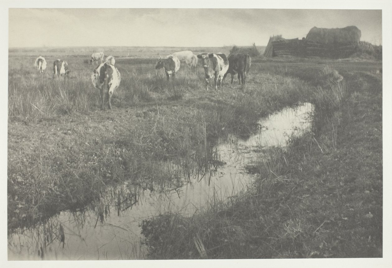  by Peter Henry Emerson