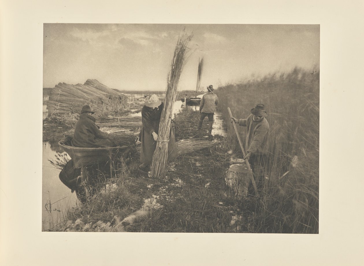  by Peter Henry Emerson