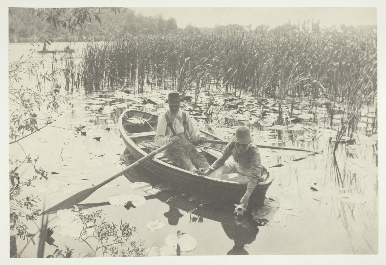 Nilüfer Toplama by Peter Henry Emerson