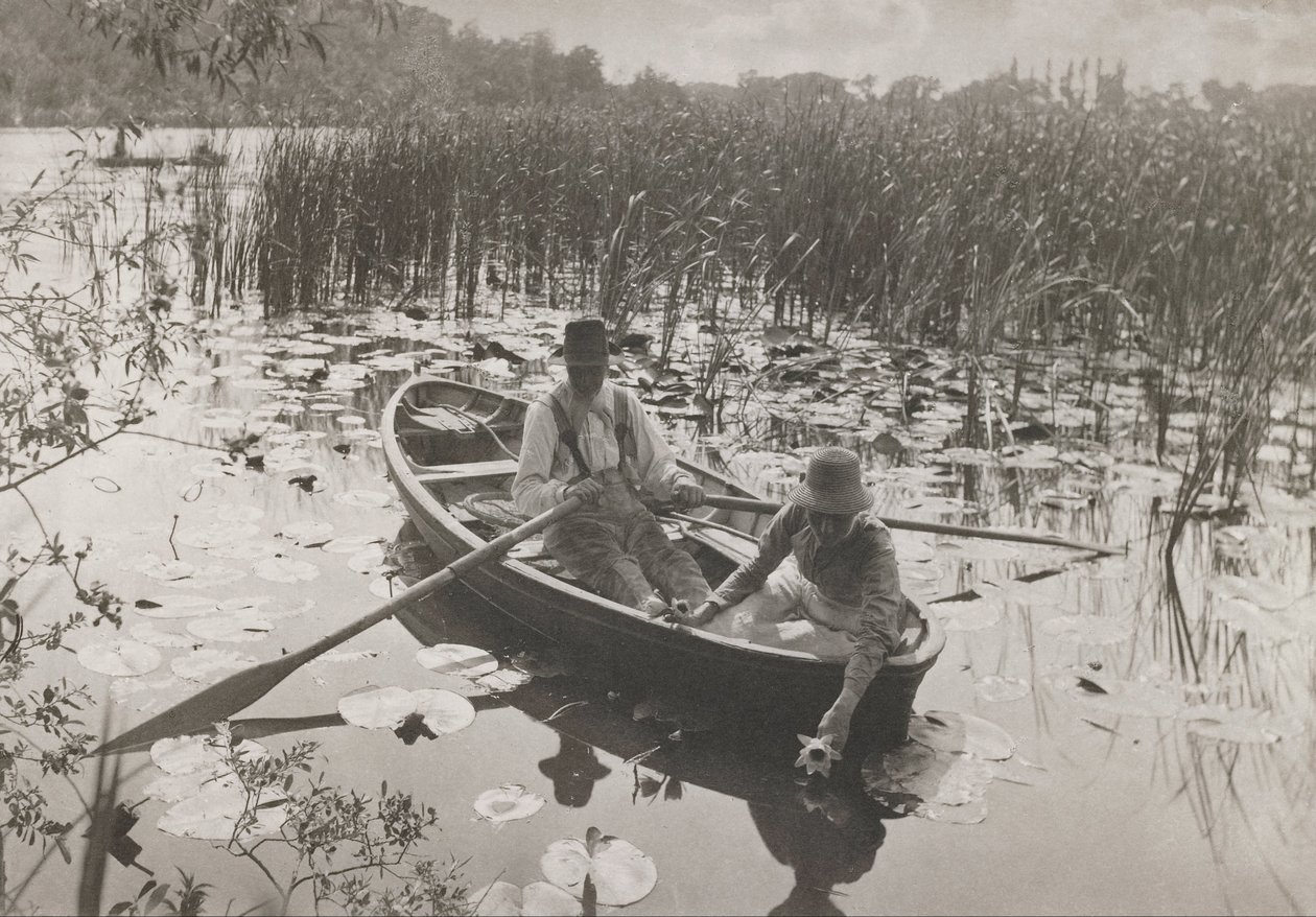 Nilüfer Toplama by Peter Henry Emerson