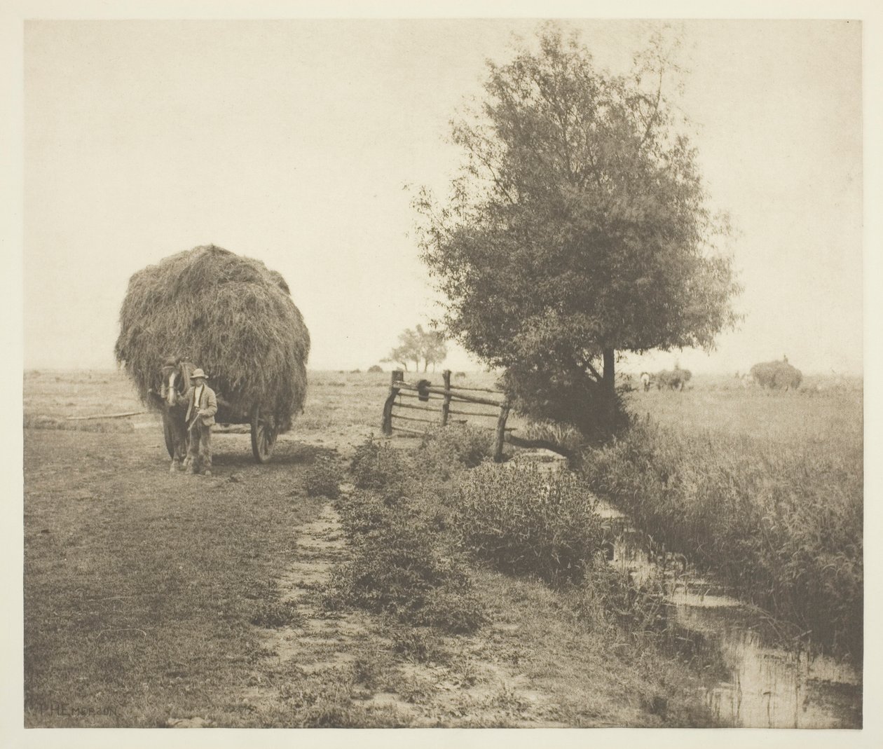 Haysel