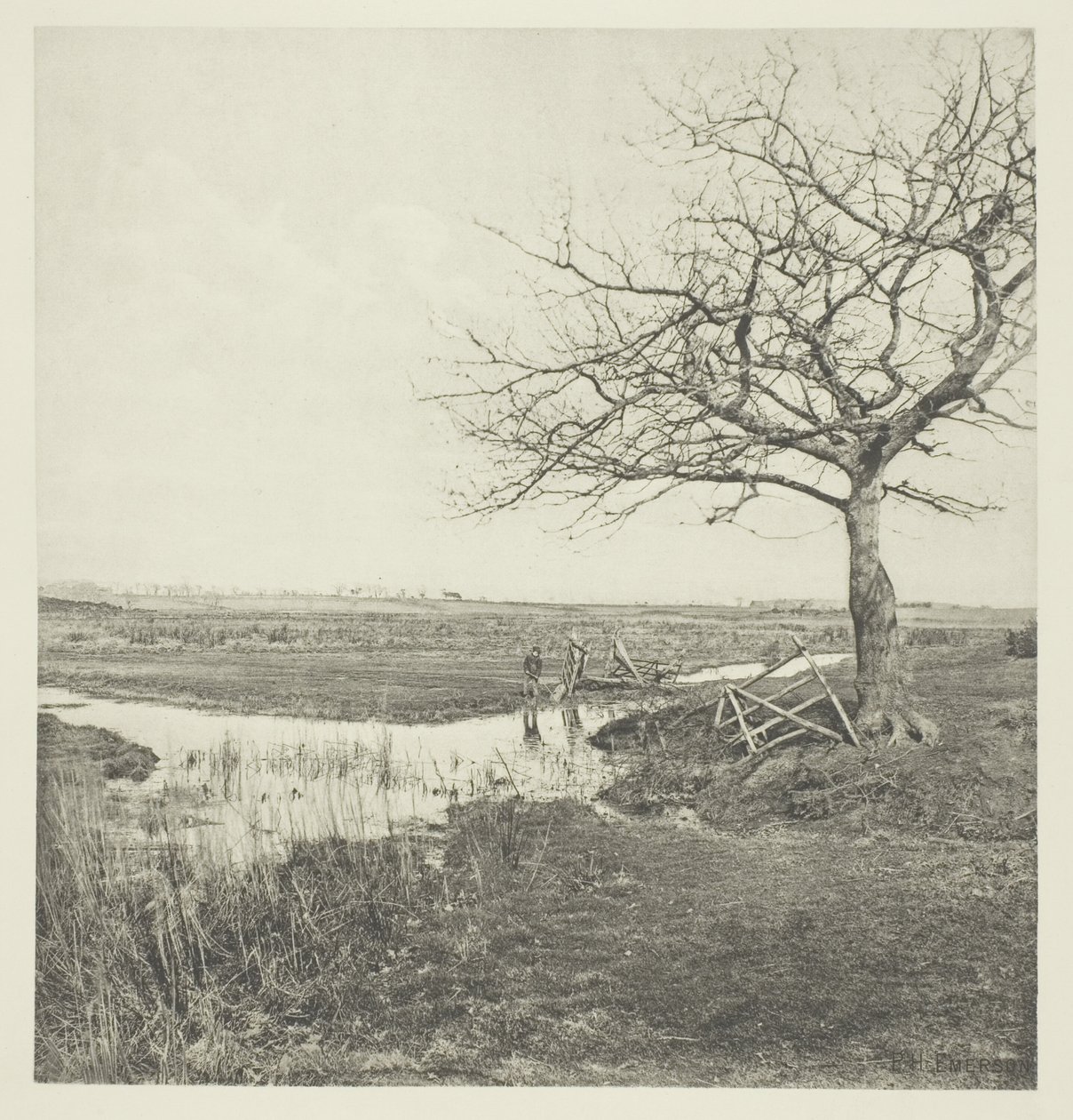 Yapraksız Mart (Suffolk) by Peter Henry Emerson