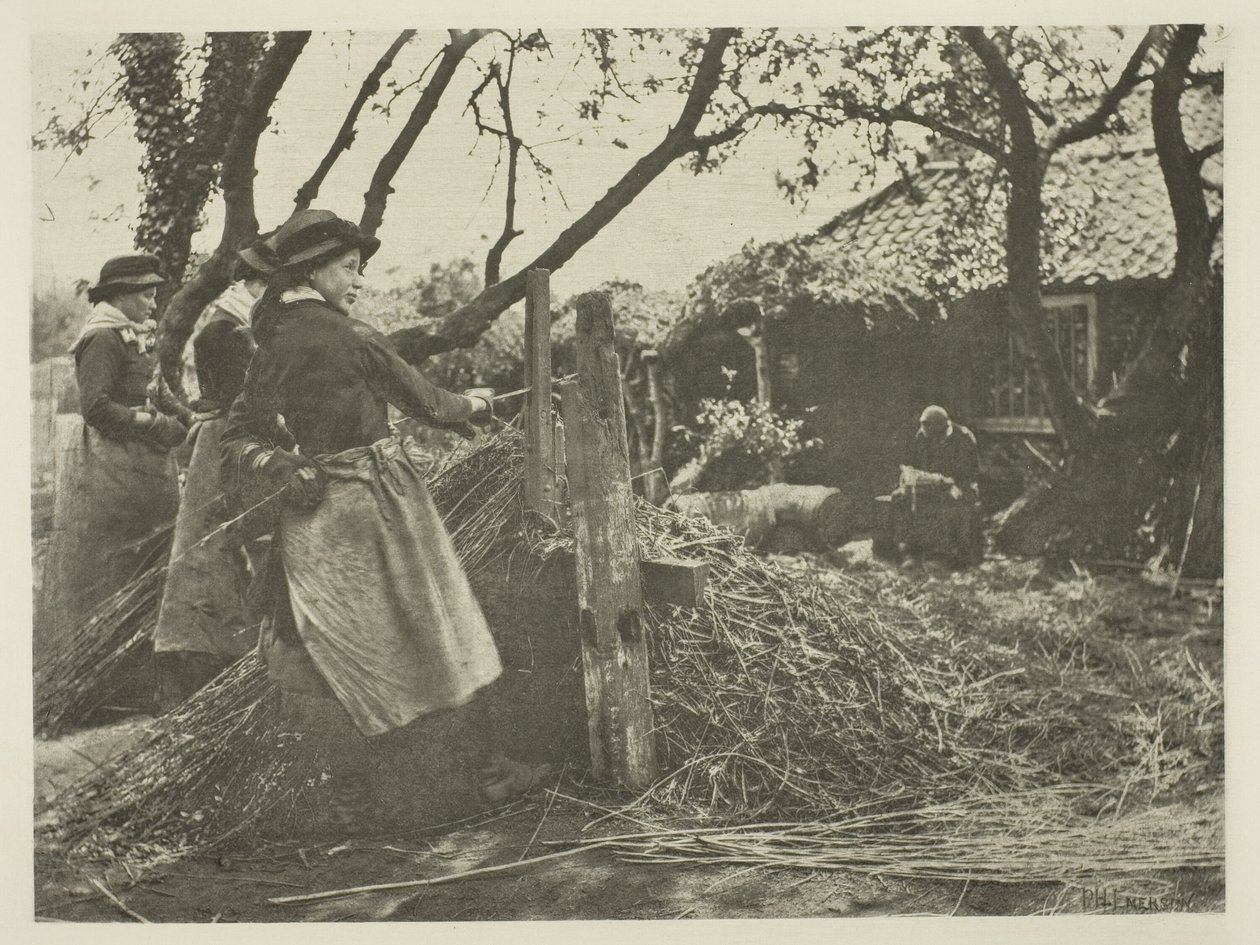 Hasır Soyma (Norfolk) by Peter Henry Emerson