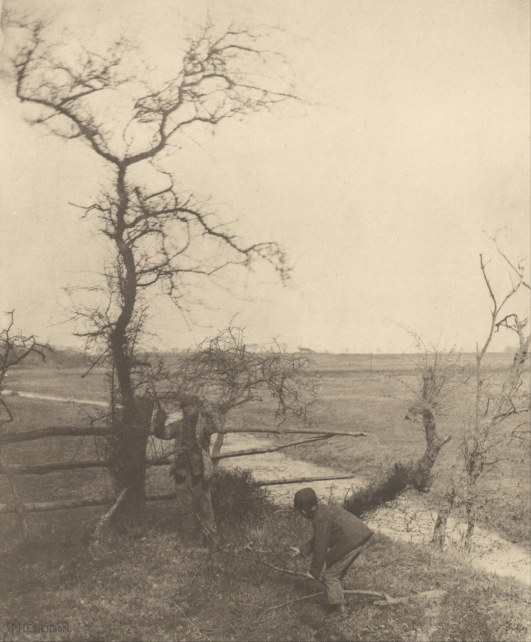Dal Kesiciler by Peter Henry Emerson