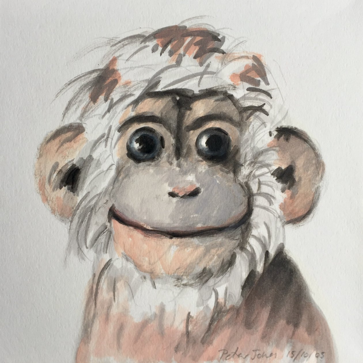 Mutlu Maymun, 2005 by Peter Jones