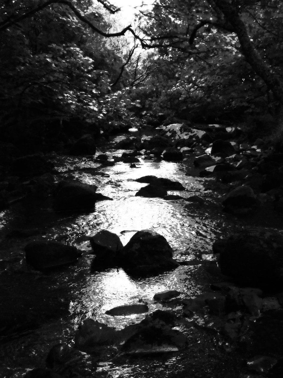 KINTYRE... ARTI. 18 by Peter McClure