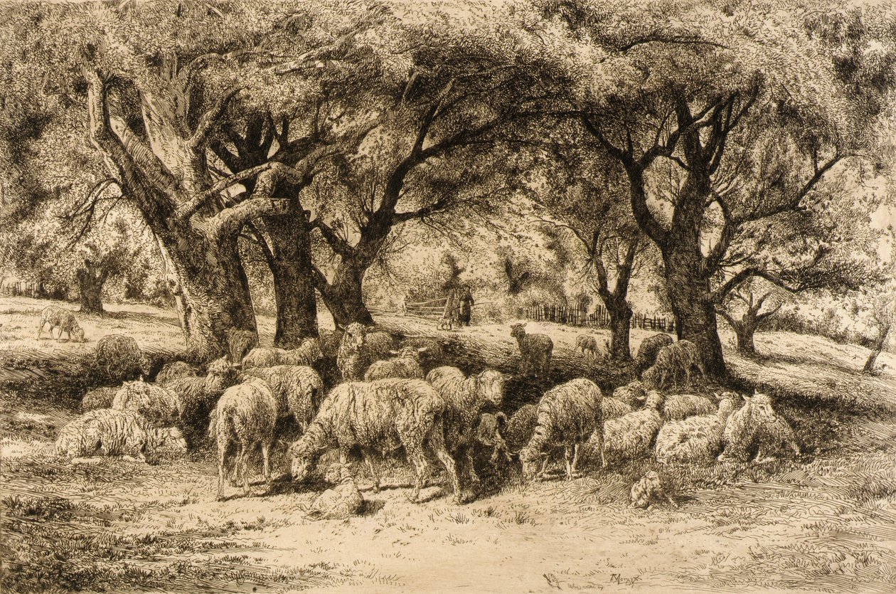  by Peter Moran