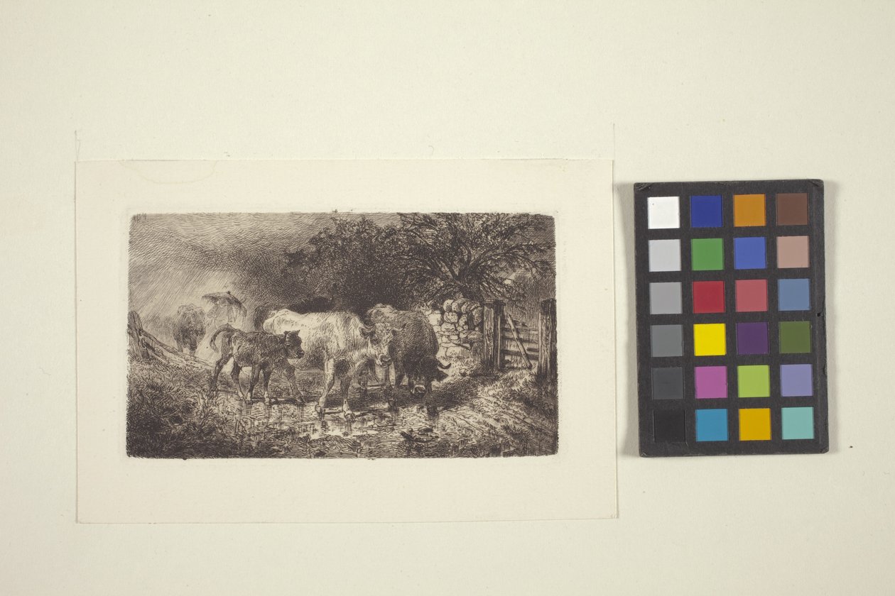Yağışlı Hava (mürekkep) by Peter Moran