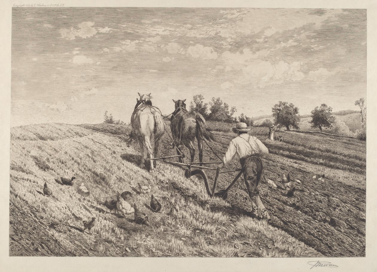 pullukçu by Peter Moran