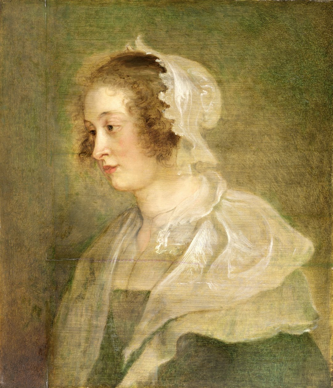 ಯುವತಿಯ (ಪ್ಯಾನಲ್) ಟರ್ಕಿಯ ಮುಖ್ಯಸ್ಥ by Peter Paul Rubens