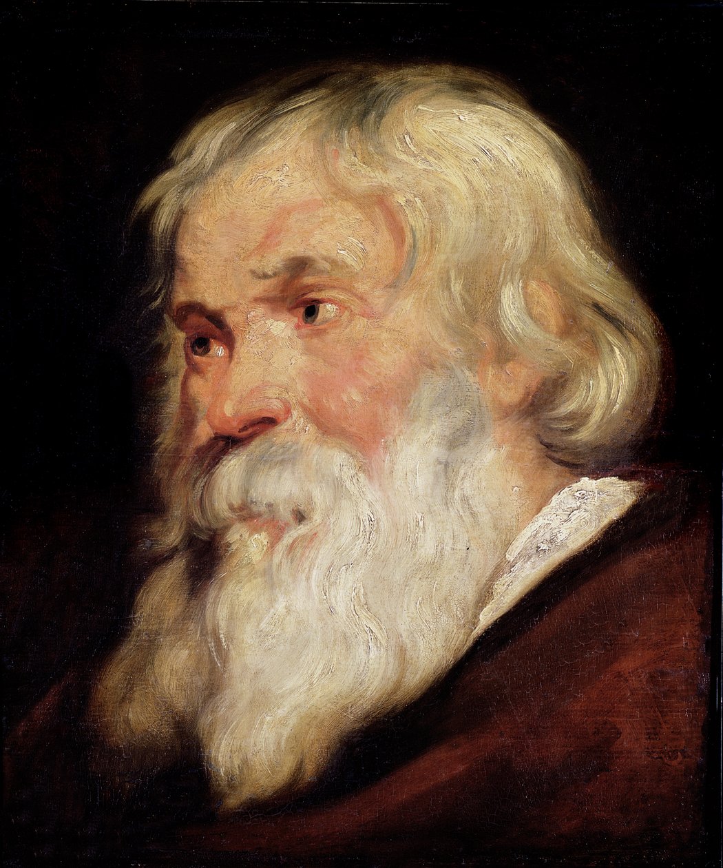 Yaşlı Bir Adamın Başı by Peter Paul Rubens