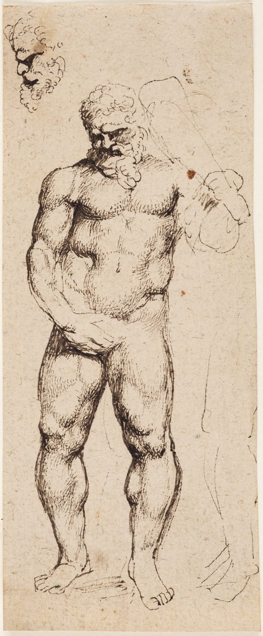 Herkül by Peter Paul Rubens