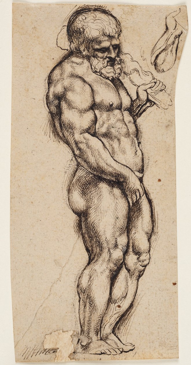 Herkül by Peter Paul Rubens