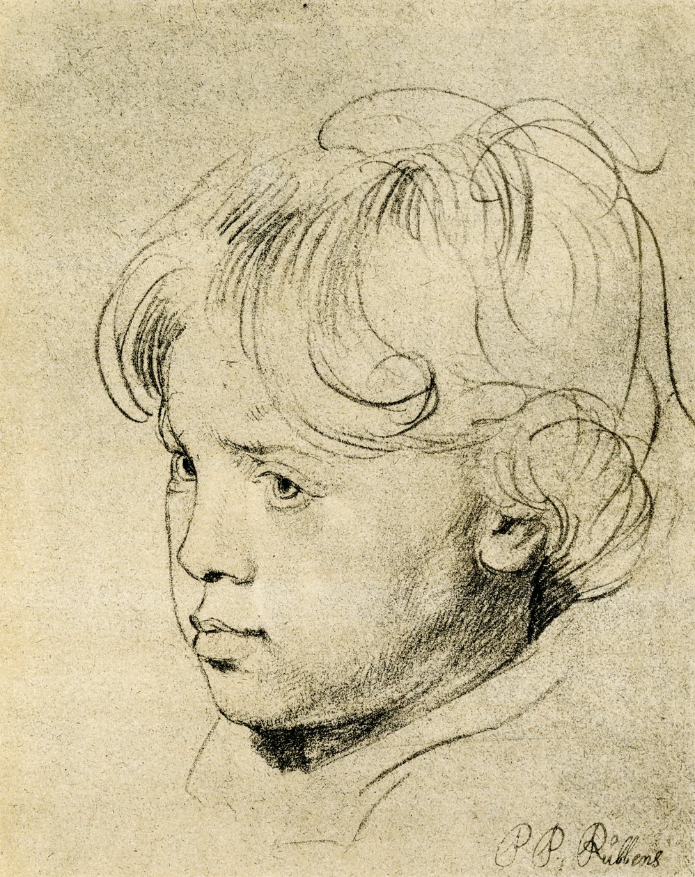 Rubens oğlu Niklas by Peter Paul Rubens