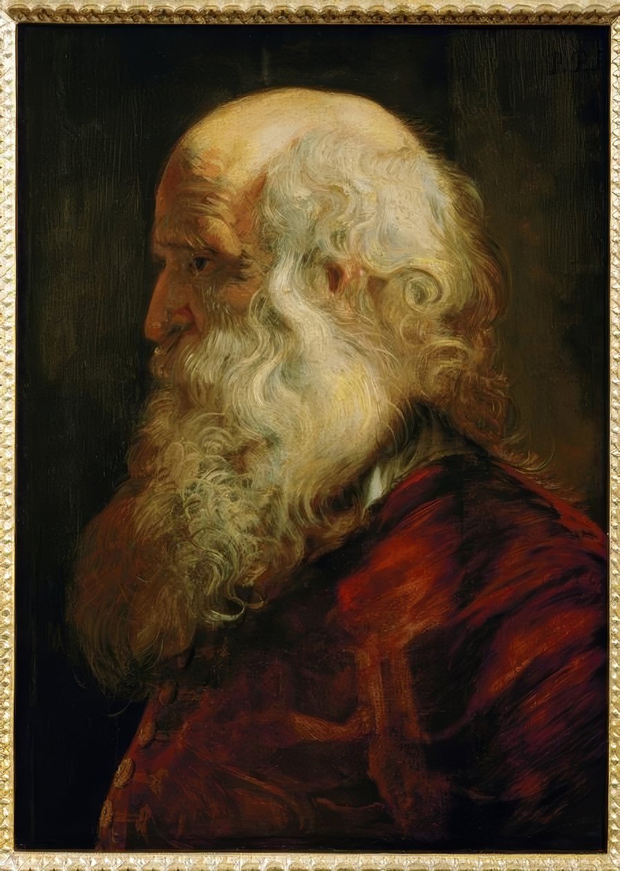 Yaşlı bir adamın çalışma başkanı by Peter Paul Rubens