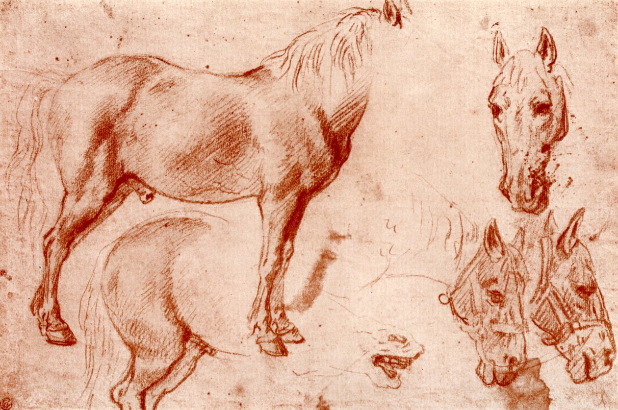 At Çalışmaları, 1913. by Peter Paul Rubens