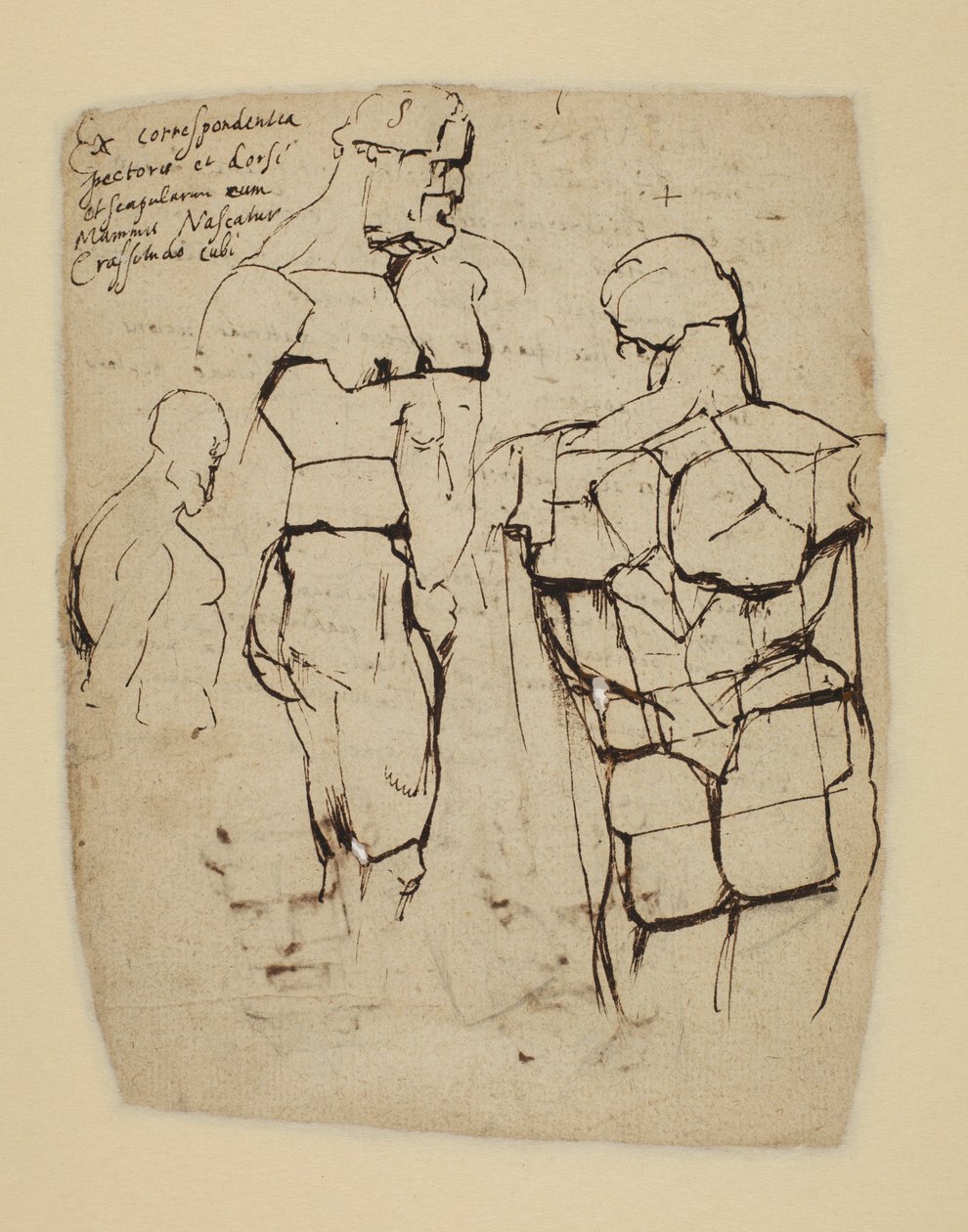 Farnese Herkül Çalışması by Peter Paul Rubens