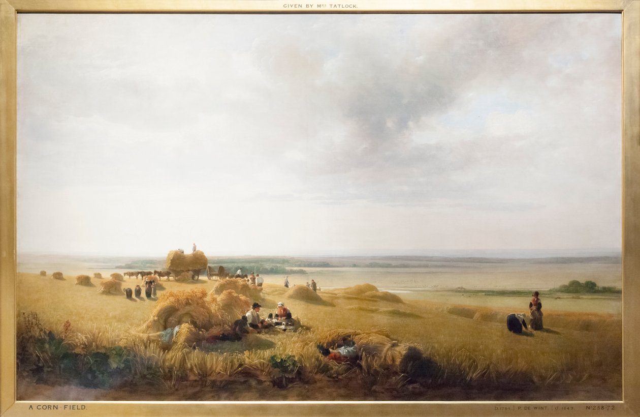 mısır tarlası by Peter de Wint