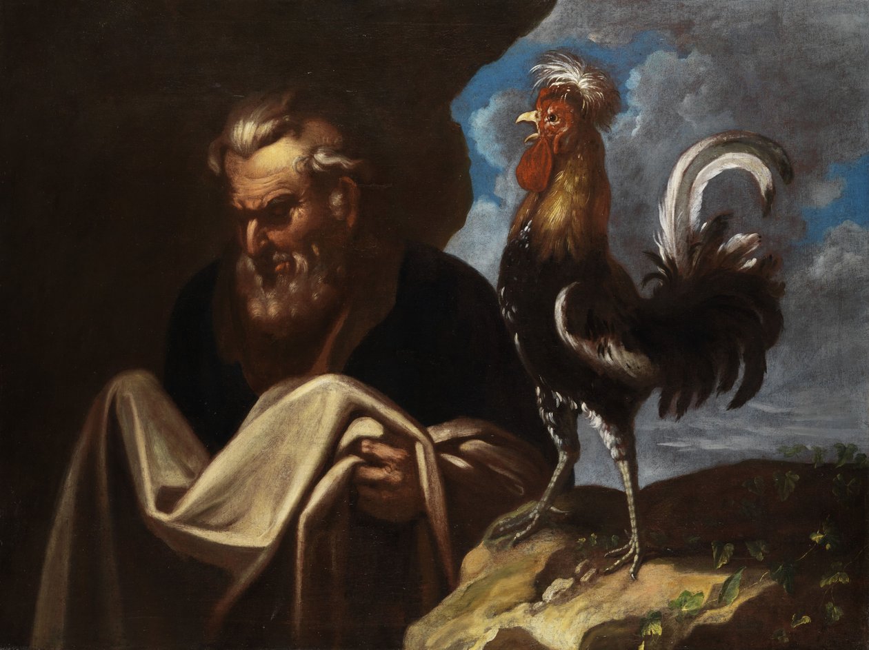 horoz ile Peter by Petr Brandl