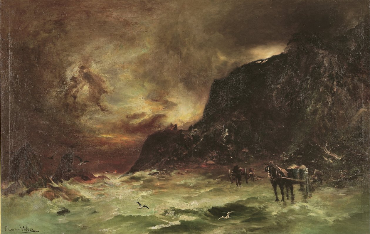 Wellington Heads