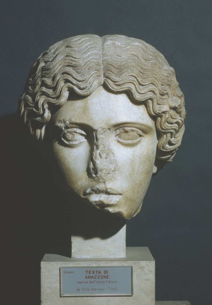 Amazon'un kafası by Phidias Phidias