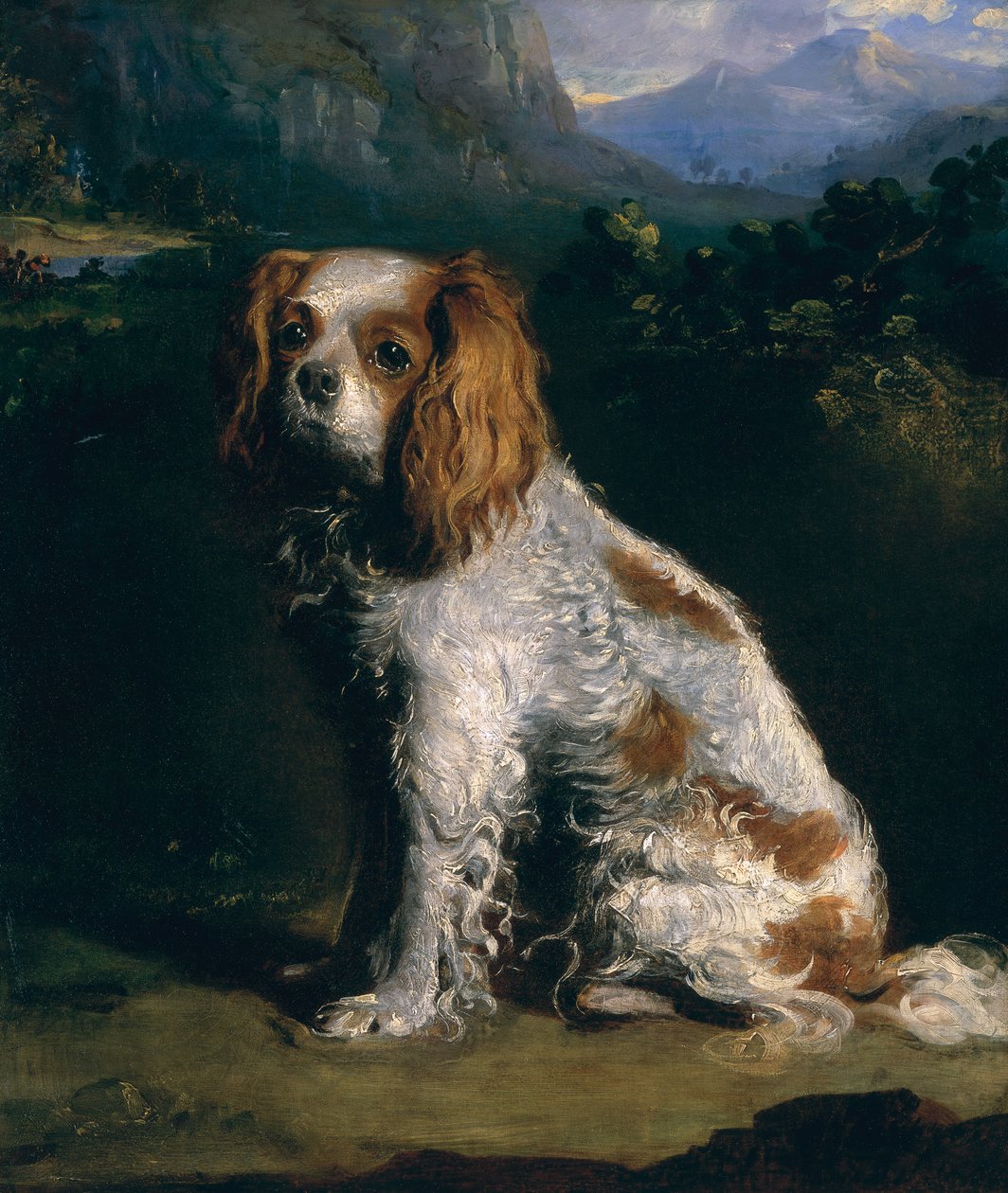 Bir Kral Charles Spaniel by Philip Reinagle