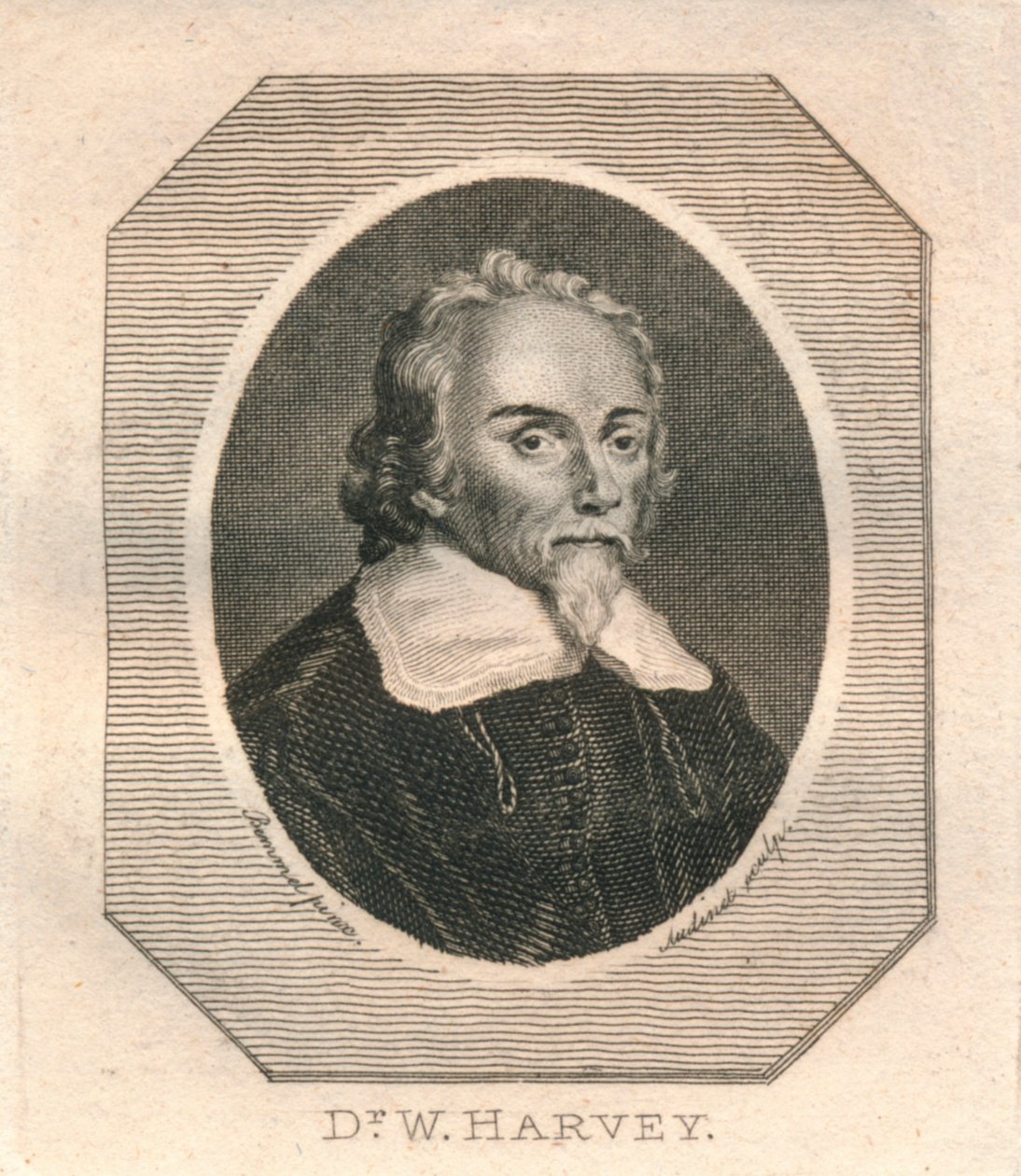 Dr. W. Harvey