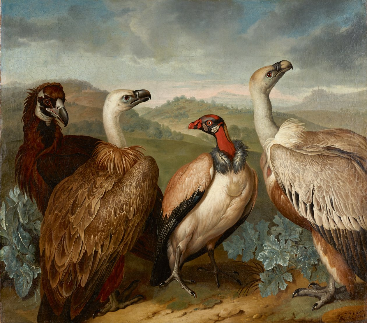 Farklı türden dört akbaba by Philipp Ferdinand de Hamilton
