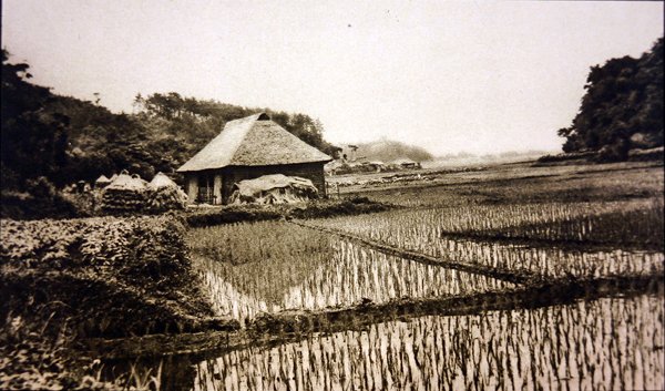 Japonya
