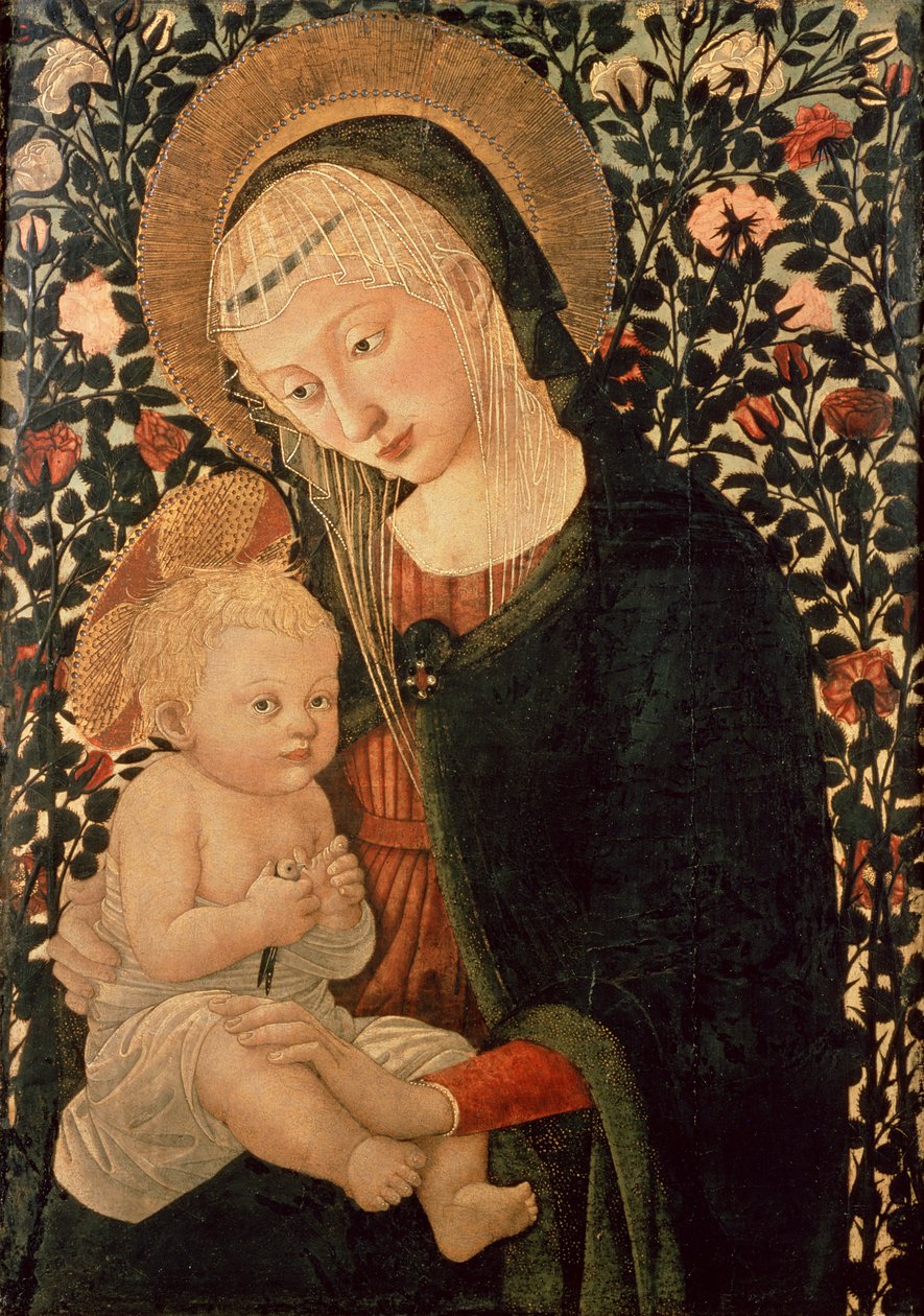 Bilinmeyen resim by Pier Francesco Fiorentino