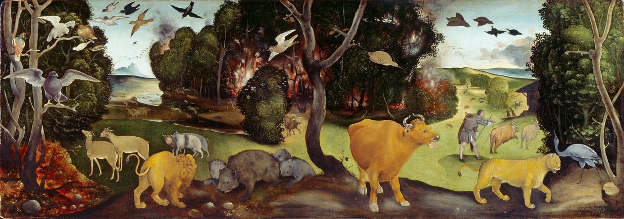 Orman Yangını, c1505 by Piero di Cosimo