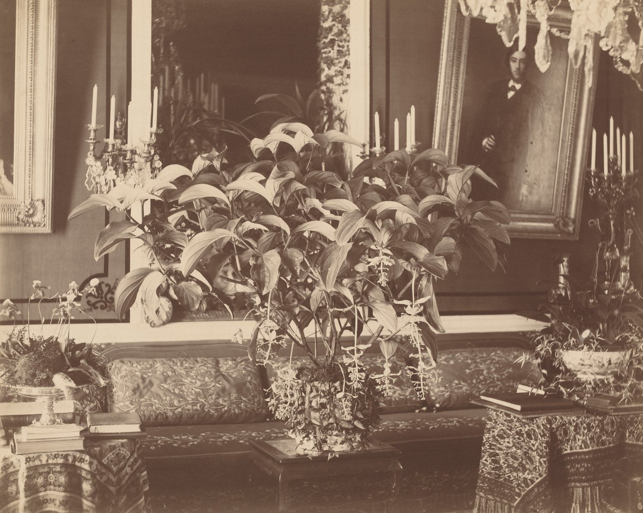  by Pierre Ambroise Richebourg