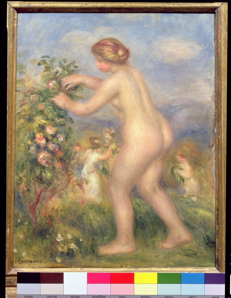 Kadın çıplak çiçek toplama by Pierre Auguste Renoir