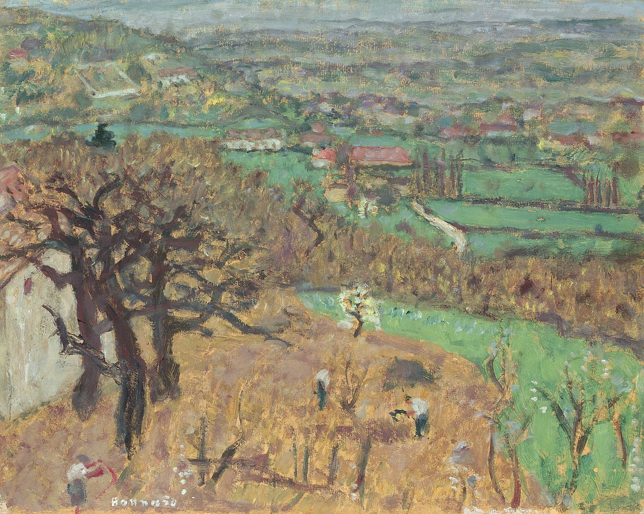 Dauphine