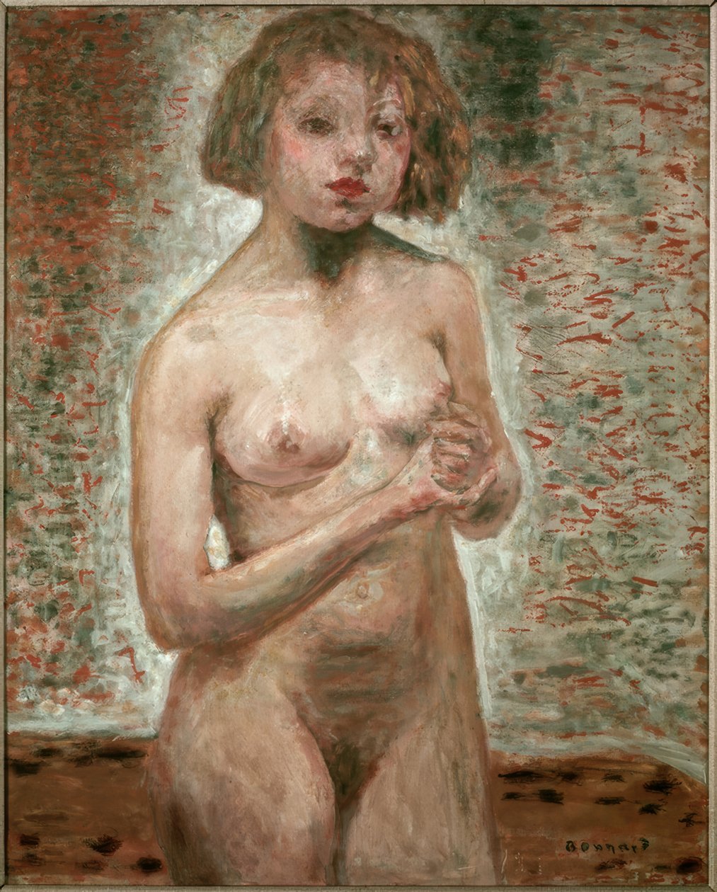 Değil by Pierre Bonnard